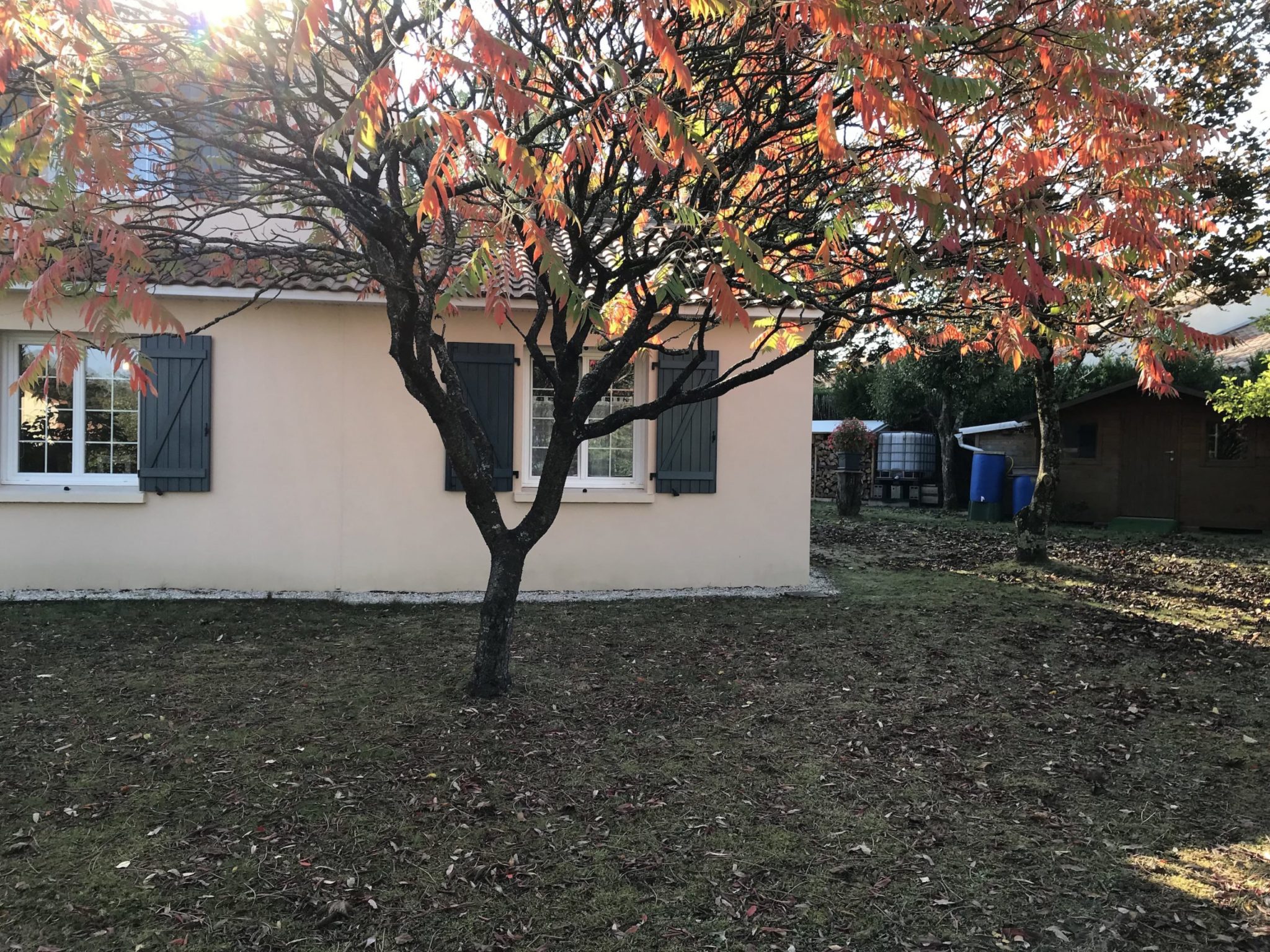 Photo après les travaux